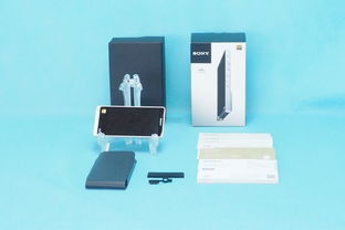 日本數(shù)字音頻播放器購(gòu)買(mǎi)指南與技術(shù)發(fā)展趨勢(shì)